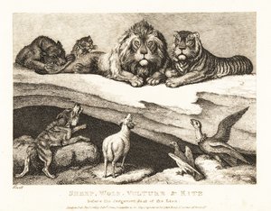Állatok közötti bírósági ügy, oroszlán és tigris bíróként. 1811 (rézkarc) alkotó: Samuel Howitt