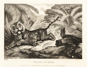 A róka egy sebesült tigrist néz. 1811 (rézkarc) alkotó: Samuel Howitt