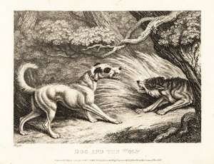 Nyakörves házikutya ételt kínál az éhező farkasnak. 1811 (rézkarc) alkotó: Samuel Howitt
