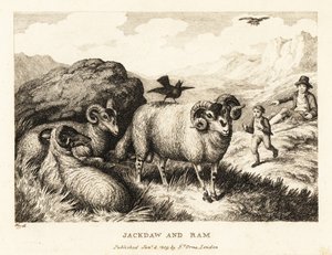 Egy ütős énekel a kos hátán. 1811 (rézkarc) alkotó: Samuel Howitt