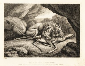 Oroszlán eszi egy szarvas tetemét egy barlangban. 1811 (rézkarc)
