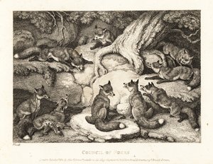 Egy rókafalka találkozik az erdőben. 1811 (rézkarc) alkotó: Samuel Howitt