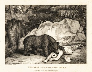 Egy turbános utazó holtan játszik, miközben megtámadja egy medve. 1811 (rézkarc) alkotó: Samuel Howitt