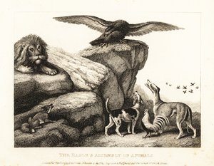 Jupiter madara int egy állatcsoportot. 1811 (rézkarc)