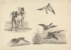 Kutyákról, nyulakról, sólyomról és kacsákról szóló tanulmányi lap alkotó: Samuel Howitt