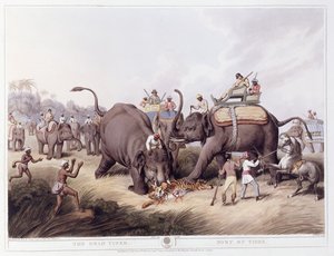 A holt tigris; A tigris halála, 1807