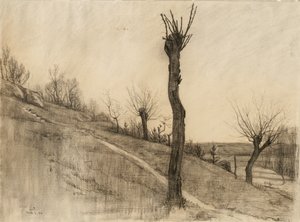 Késő téli táj, 1884 (szén, sima papírra)