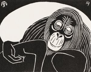 Orangután
