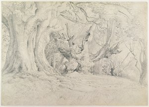 Ősi fák, Lullingstone Park, 1828 (grafit papíron) alkotó: Samuel Palmer
