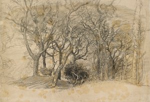 Study of Trees, Clovelly Park, 1834 alkotó: Samuel Palmer