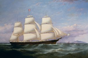 A Baltimore Clippership „Carrier Dove”