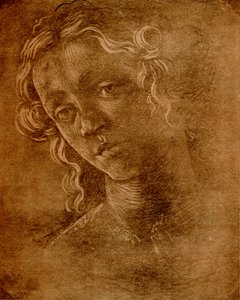 Női fej alkotó: Sandro Botticelli