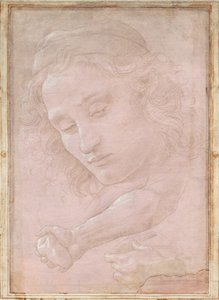 egy sapkát viselő ifjúság vezetője; a jobb alkar, a kéz egy követ szorongató; és egy drapériát tartó bal kéz alkotó: Sandro Botticelli