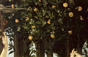 Primavera, a narancsfa részlete, 1478 körüli tempera a panelen alkotó: Sandro Botticelli