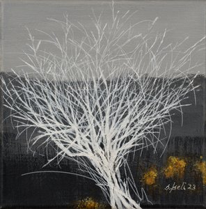  alkotó: Sandy Iseli