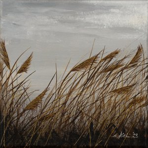  alkotó: Sandy Iseli