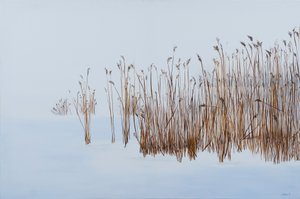 alkotó: Sandy Iseli