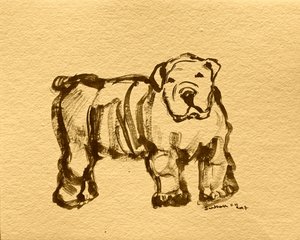 Kifejező bulldogvázlat alkotó: Santhosh ch
