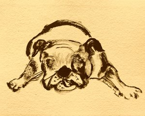 Játékos bulldogvázlat alkotó: Santhosh ch