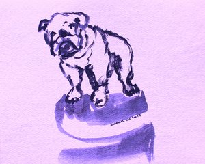 Lila bulldog vázlata alkotó: Santhosh ch