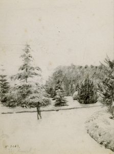 Egy kert tanulmányozása alkotó: Santiago Rusiñol