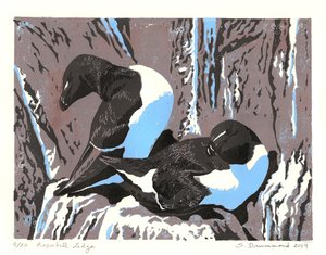Razorbill Ledge, 2014 (Linómetszet) alkotó: Sarah Drummond