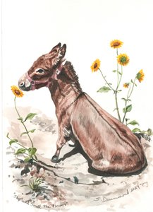 Stop and Smell the Flowers, 2024 (Akvarell, papír)
