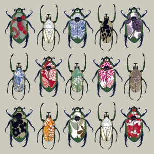 Beetledrive, 2008 (digitális)
