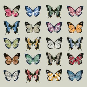 Papillon, 2008 (digitális)