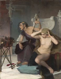 A Bacidae