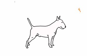 Bull terrier,2018,(digitális rajz) alkotó: Sarah Thompson Engels