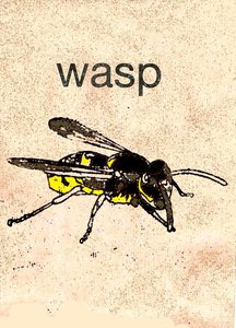 „Wasp” 2014 (monoprint) alkotó: Sarah Thompson Engels