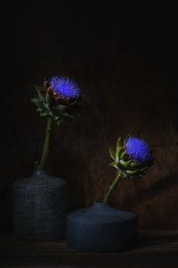 Sötét articsóka virágok alkotó: Saskia Dingemans