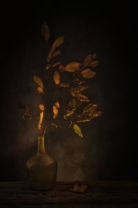 Hangulatos őszi levelek alkotó: Saskia Dingemans