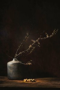Moody botanikai csendélet alkotó: Saskia Dingemans