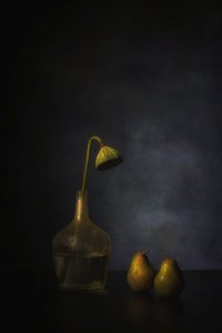 Hangulatos lótusz és körte alkotó: Saskia Dingemans