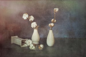 Természetes pamut vázák alkotó: Saskia Dingemans