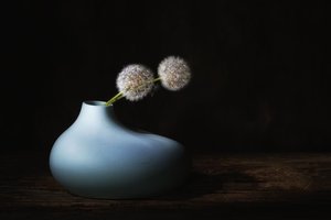 Csendes pitypangok alkotó: Saskia Dingemans
