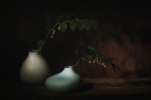 Nyugodt botanikai csendélet alkotó: Saskia Dingemans