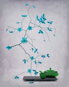 „Serene” botanikus teakészlet alkotó: Saskia Dingemans