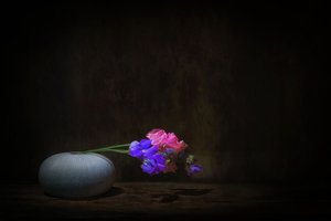 Élénk színű édesborsó-csendélet alkotó: Saskia Dingemans