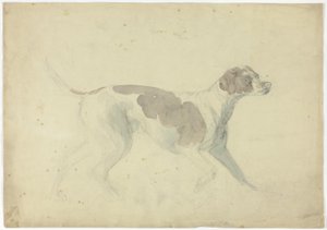 Fox Hound (recto); Vázlatok lóról és lovasról (verso) alkotó: Sawrey Gilpin