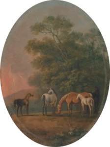 Kancák és csikók [1795, Royal Academy of Arts, London, kiállítási katalógus] alkotó: Sawrey Gilpin