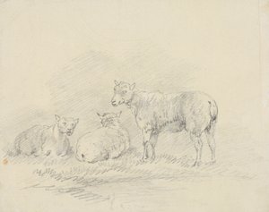 Három bárány alkotó: Sawrey Gilpin