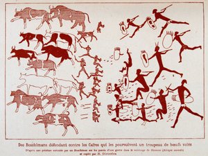 A boschimanok egy ökörlegycsordát védenek a kassza ellen, miután egy boschiman festményt készített egy barlang falán Hermon (Dél-Afrika) közelében.