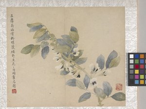 8 leveles virágalbum, 1700-as évek közepe (tinta és szín, papír) alkotó: School Chinese