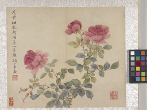 8 leveles virágalbum, 1700-as évek közepe (tinta és szín, papír) alkotó: School Chinese