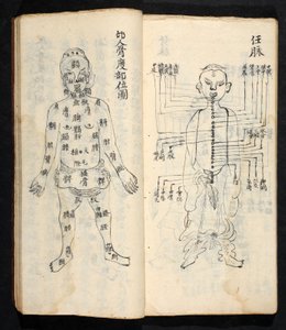 Akupunktúrás pontok a test központi vonala mentén, Jing Guan Qi Zhi, „Az akupunktúrás pontok és csatornák kezdetei és végei”, pub. Dél-Kína, 18. század eleje (tinta papíron) alkotó: School Chinese
