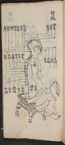 Akupunktúrás pontok a gerinc és a fej mentén, Jing Guan Qi Zhi, „Az akupunktúrás pontok és csatornák kezdetei és végei”, pub. Dél-Kína, 18. század eleje (tinta papíron) alkotó: School Chinese