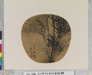 Bambusz alkotó: School Chinese